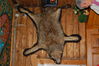 Dateiname=dsc_3042.jpg
Dateigröße=2474KB
Abmessungen: 3008x2000
hinzugefügt am: 28. April 2009 dsc_3042.jpg