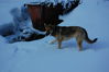 dsc_3166.jpg