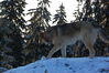 dsc_3172.jpg