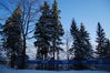 dsc_3177.jpg