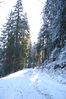dsc_3179.jpg