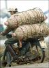 Dateiname=diszno.jpg
Dateigröße=53KB
Abmessungen: 380x524
hinzugefügt am: 22. April 2004 diszno.jpg