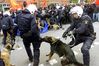 policedogbitescop.jpg