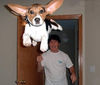 Dateiname=thebeast.jpg
Dateigröße=51KB
Abmessungen: 510x434
hinzugefügt am: 22. April 2004 thebeast.jpg