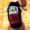 Dateiname=tn_dogslife.jpg
Dateigröße=4KB
Abmessungen: 130x130
hinzugefügt am: 22. April 2004 tn_dogslife.jpg