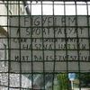 tn_sportpalya.jpg