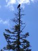 Dateiname=lenggries benediktbeuern 024.jpg
Dateigröße=44KB
Abmessungen: 384x512
hinzugefügt am: 26. Mai 2005 lenggries benediktbeuern 024.jpg