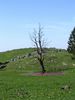 Dateiname=lenggries benediktbeuern 054.jpg
Dateigröße=30KB
Abmessungen: 300x400
hinzugefügt am: 26. Mai 2005 lenggries benediktbeuern 054.jpg