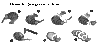 Dateiname=Kiwi.gif
Dateigröße=21KB
Abmessungen: 495x234
hinzugefügt am: 12. Oktober 2004 Kiwi.gif