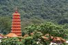 Dateiname=HK-1873.jpg
Dateigröße=154KB
Abmessungen: 1024x683
hinzugefügt am: 11. September 2006 HK-1873.jpg