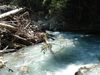 DSC01008_.JPG