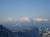 DSC02416.JPG