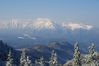 Resize_of_005~0.JPG