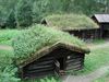 00292_maihaugen_gras.JPG