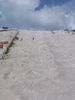 2006_07_22_MC_006.jpg