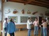 Balingen_53~0.JPG