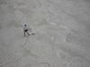 DSC00055_.JPG