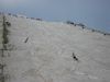 DSC00065_.JPG