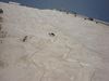 DSC00070_.JPG