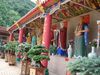 DSC00286_.JPG