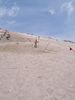 _100_1372.jpg