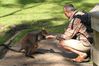 Dateiname=känguru.JPG
Dateigröße=194KB
Abmessungen: 691x461
hinzugefügt am: 27. Oktober 2005 känguru.JPG